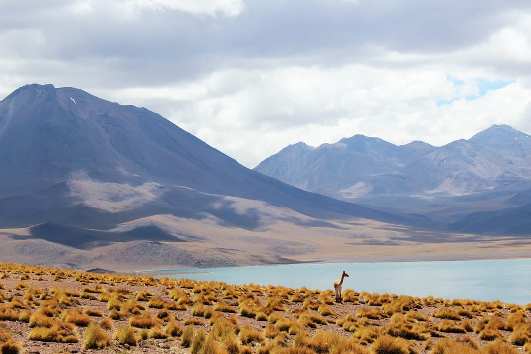 How to avoid tourist scams in Santiago Chile