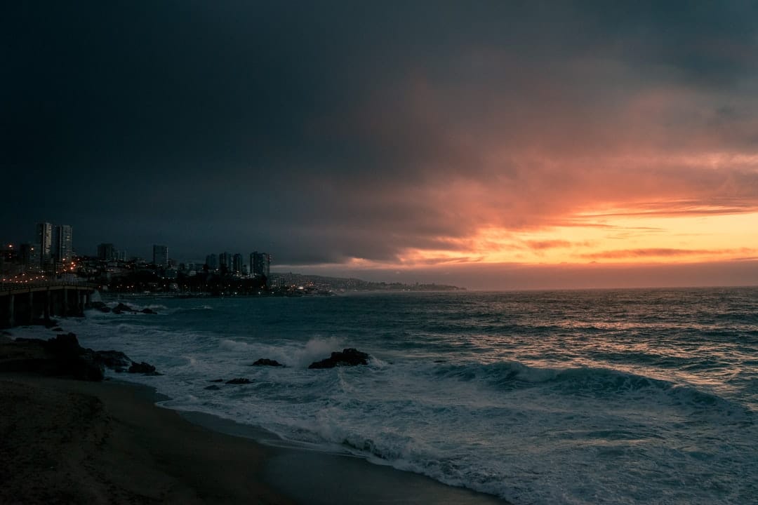 PCR Test in Viña del Mar Chile