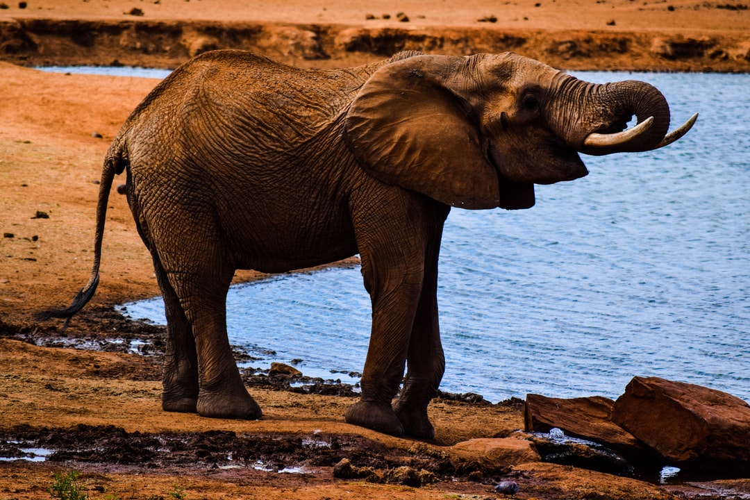How to get the best car rental deal in Voi Kenya