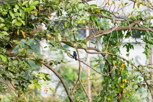 10 Travel tips in Karjat India