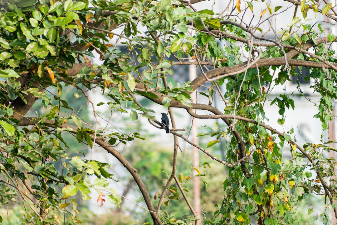 10 Travel tips in Karjat India