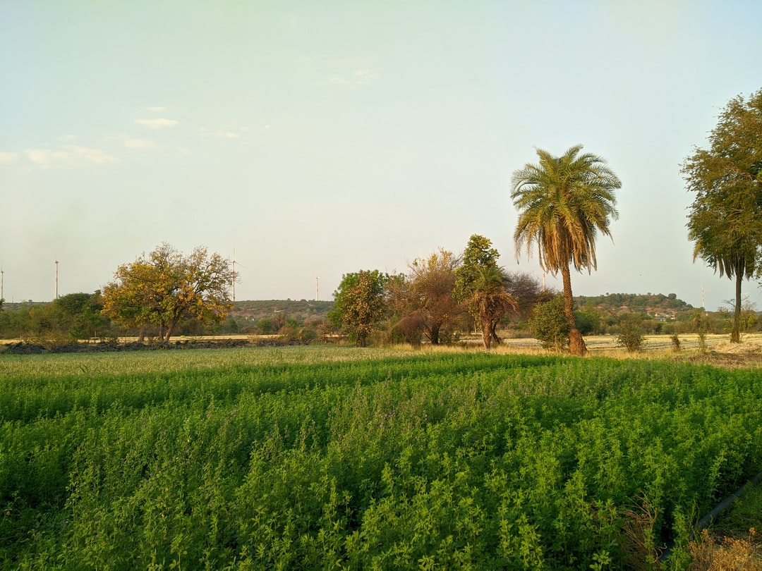 10 Travel tips in Rewa India