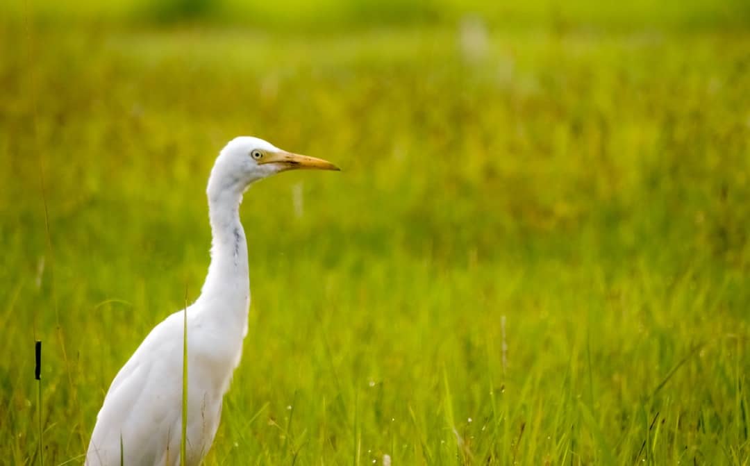 10 Travel tips in Roorkee India
