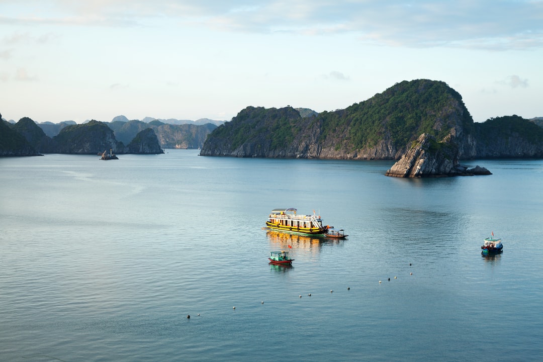Rapid Lateral Flow Test in Haiphong Vietnam