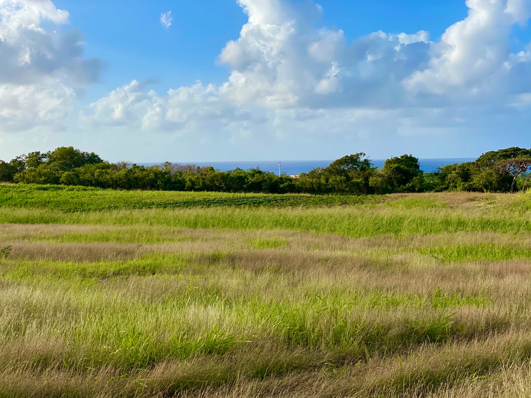 How to avoid tourist scams in Bridgetown Barbados