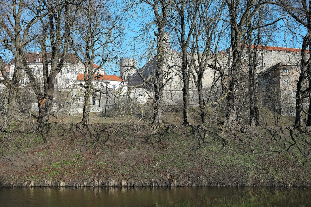Rapid Lateral Flow Test in Tallinn Estonia