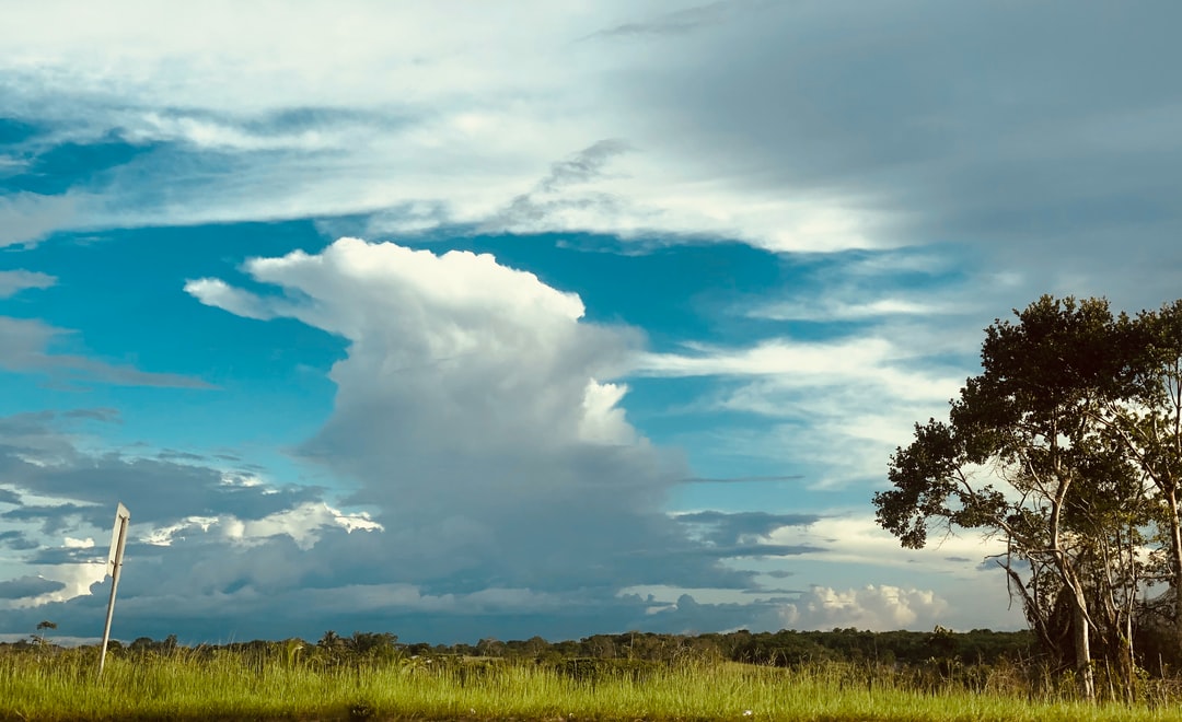 How to get the best hotel prices in Linden Guyana