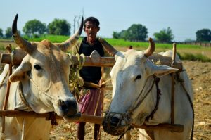 10 Travel tips in Kanpur India