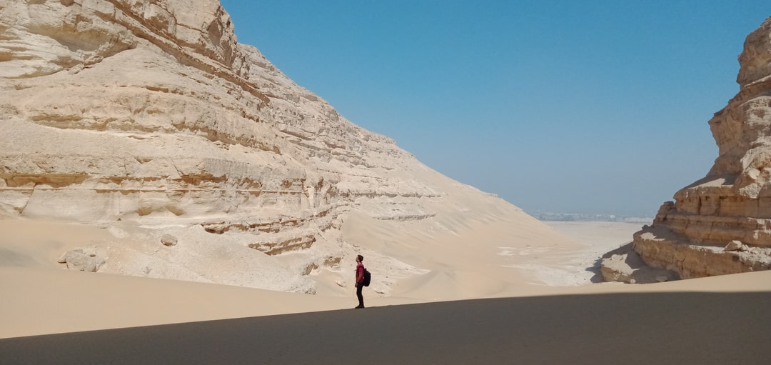 Rapid Lateral Flow Test in Sohag Egypt