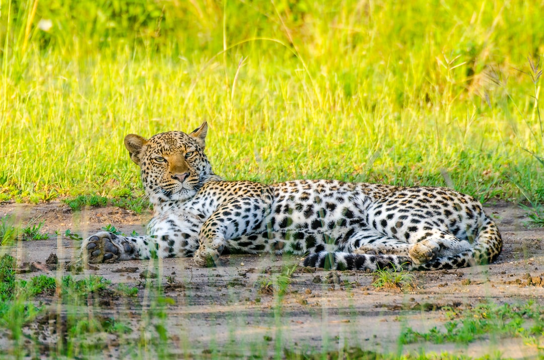 How to get the best hotel prices in Kasese Uganda