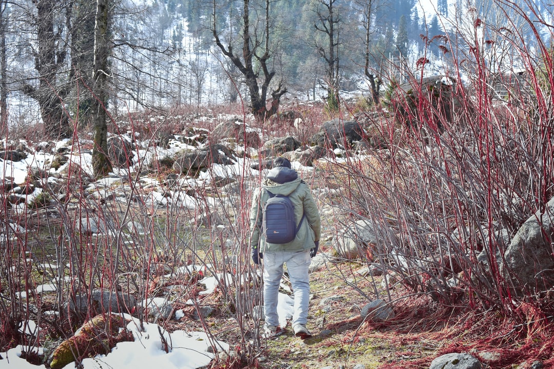 10 Travel tips in Manali India