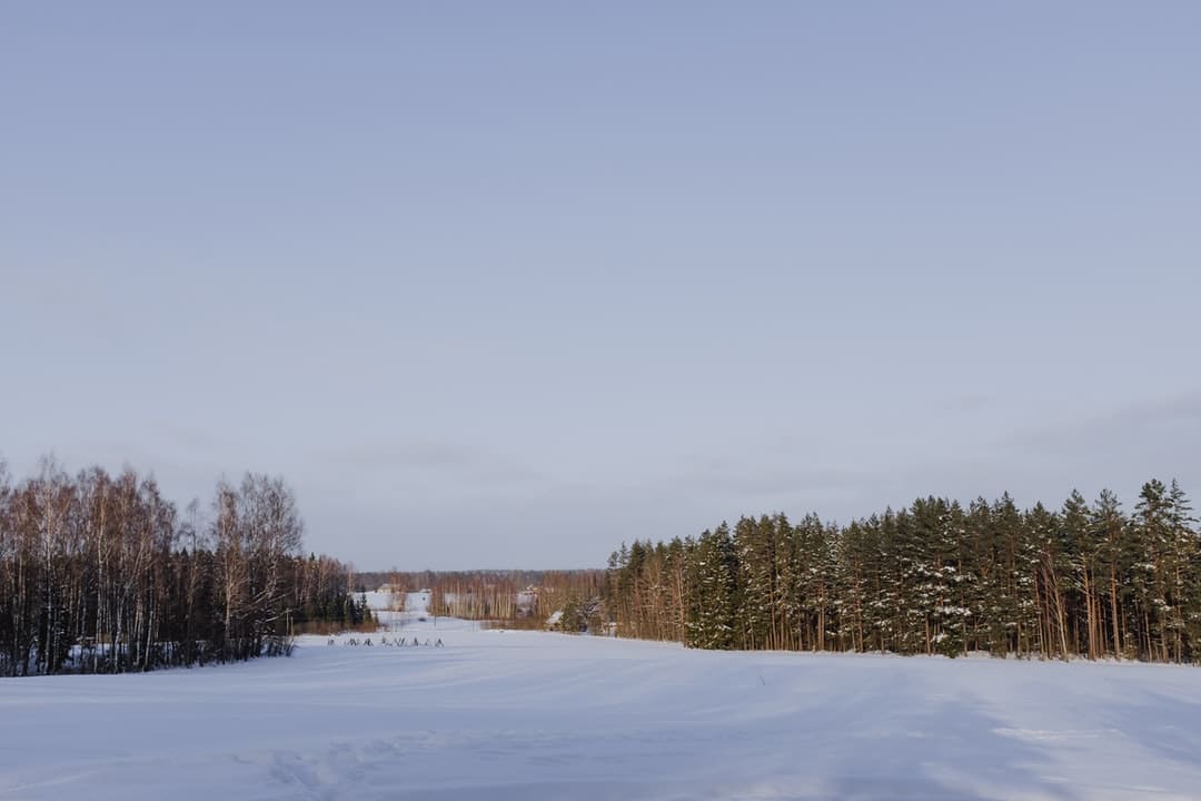 How to get the best hotel prices in Tukums Latvia