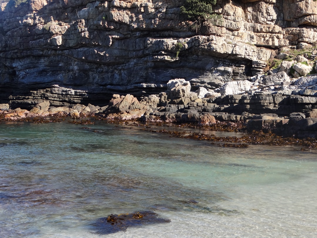 Rapid Lateral Flow Test in Hermanus South Africa